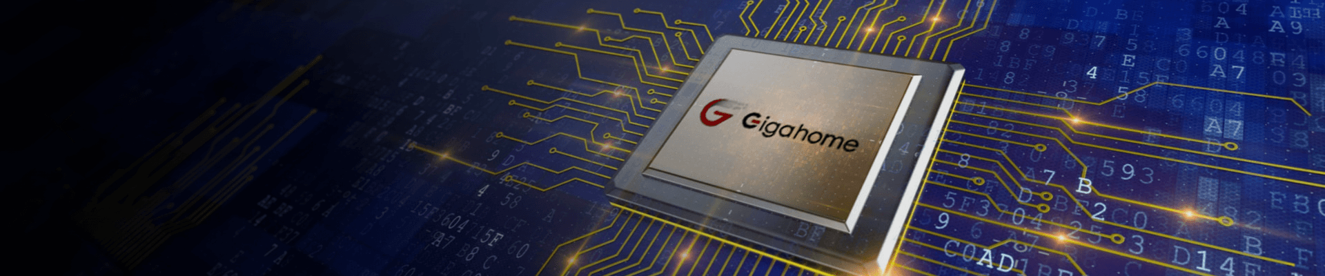 Gigahome