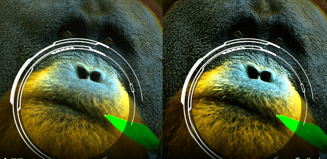 Hi-Imprex Engine-Restore Image Details