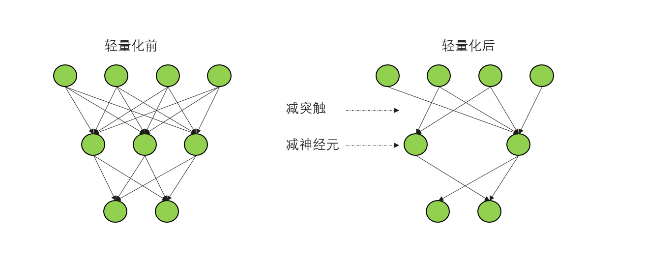 模型剪枝、压缩的轻量化