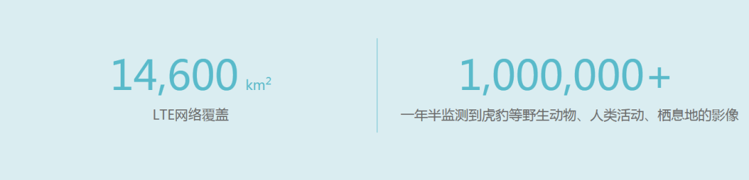 海思 | 智慧的“眼睛”，AI守护珍稀动物